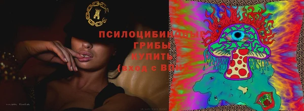 ECSTASY Вязники