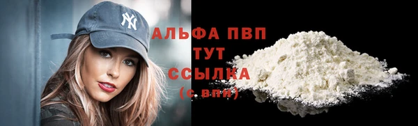 винт Вяземский