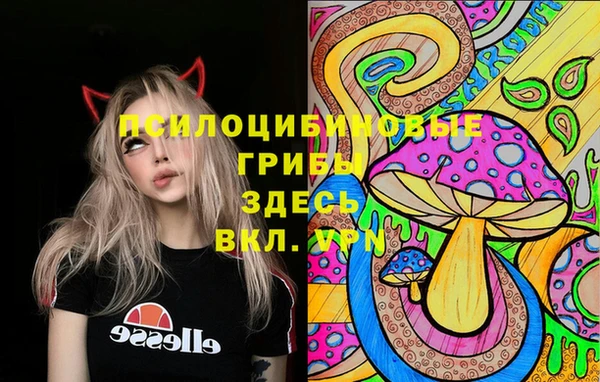 ECSTASY Вязники